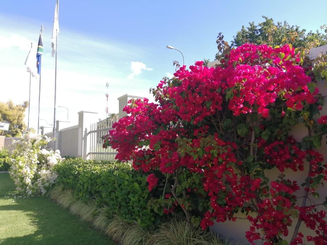 Monte Rosa Guesthouse Rawsonville Exterior foto
